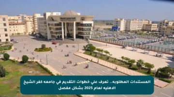 المستندات المطلوبة.. تعرف على خطوات التقديم في جامعة كفر الشيخ الأهلية لعام 2025 بشكل مفصل